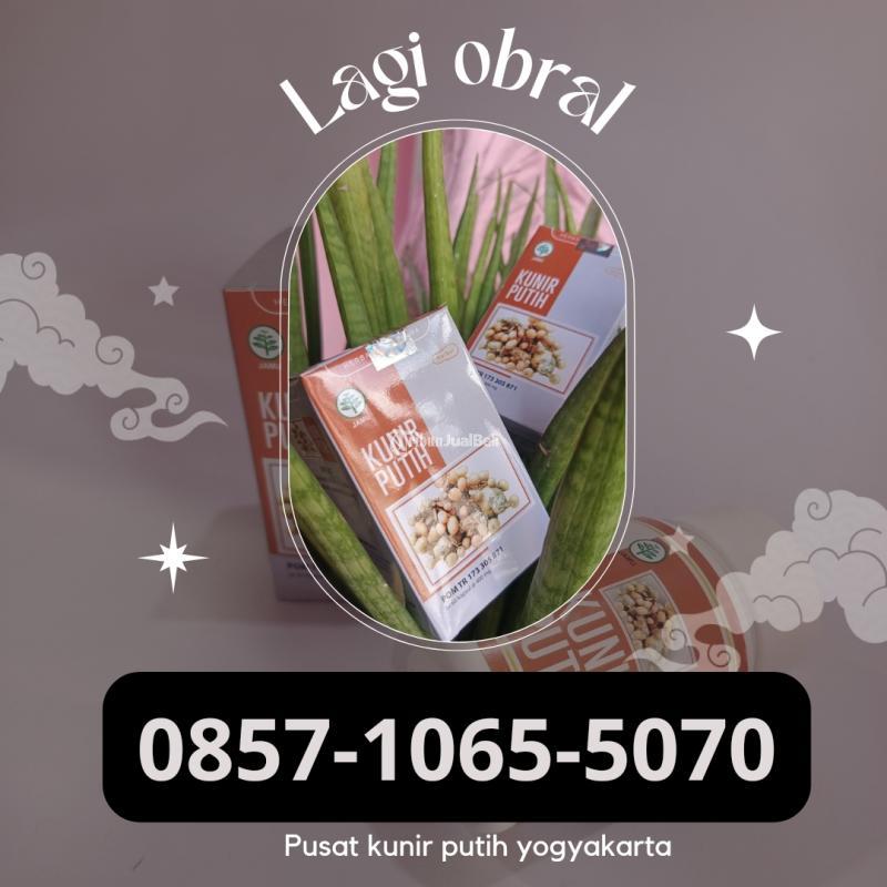 Lagi Obral, Pusat Kunir Putih Jogja - Bantul Yogyakarta