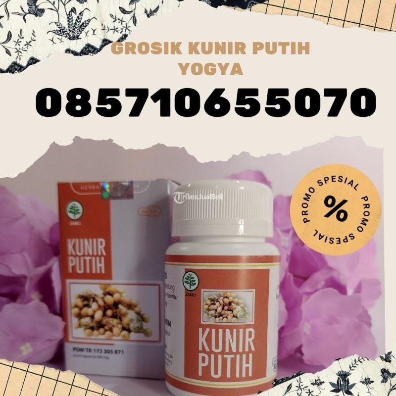Grosir Kunir Putih Harga Murah - Bantul Yogyakarta 