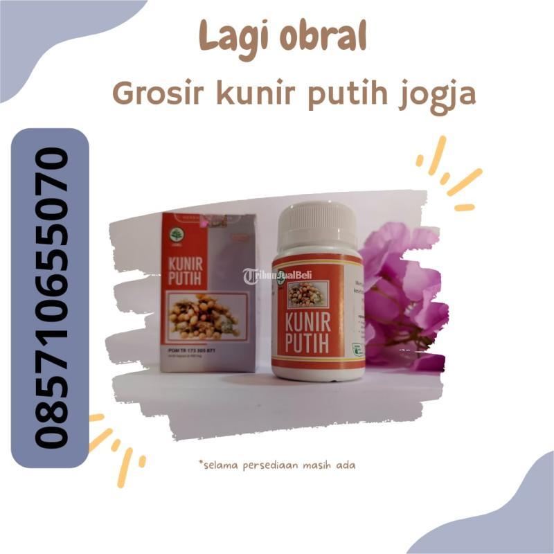Grosir Kunir Putih Bantul Jogja - Bantul Yogyakarta