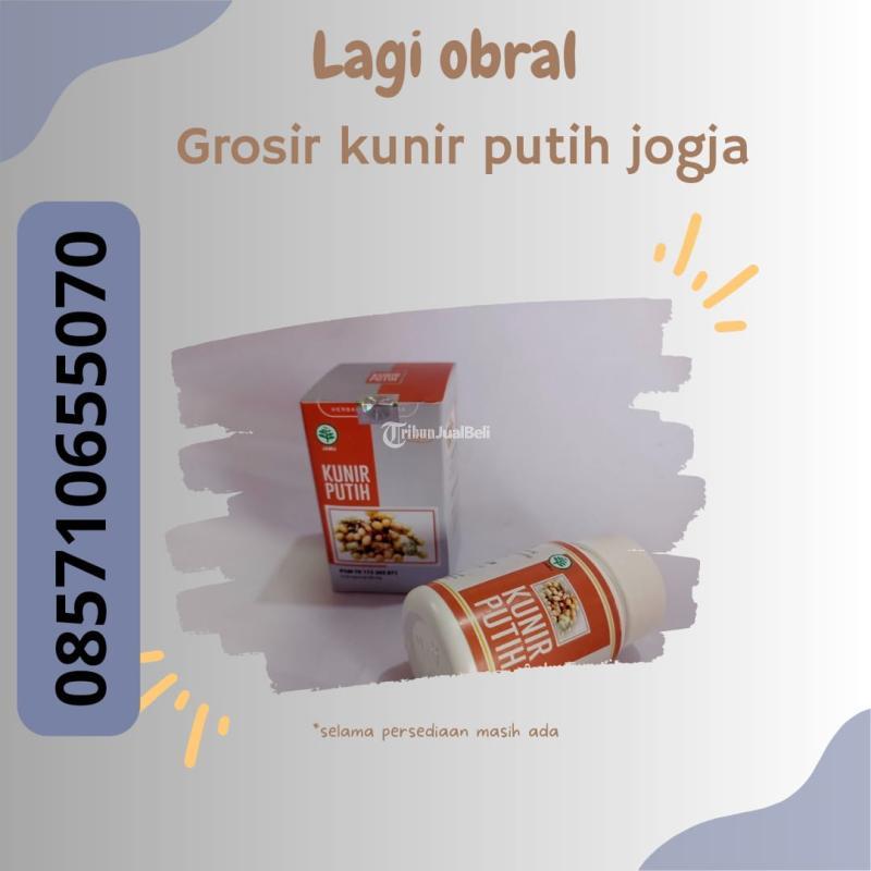 Grosir Kunir Putih Bantul Jogja - Bantul Yogyakarta