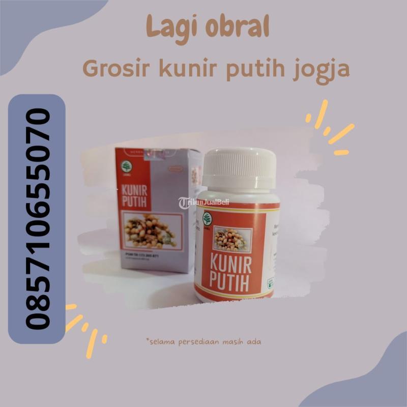 Grosir Kunir Putih Bantul Jogja - Bantul Yogyakarta