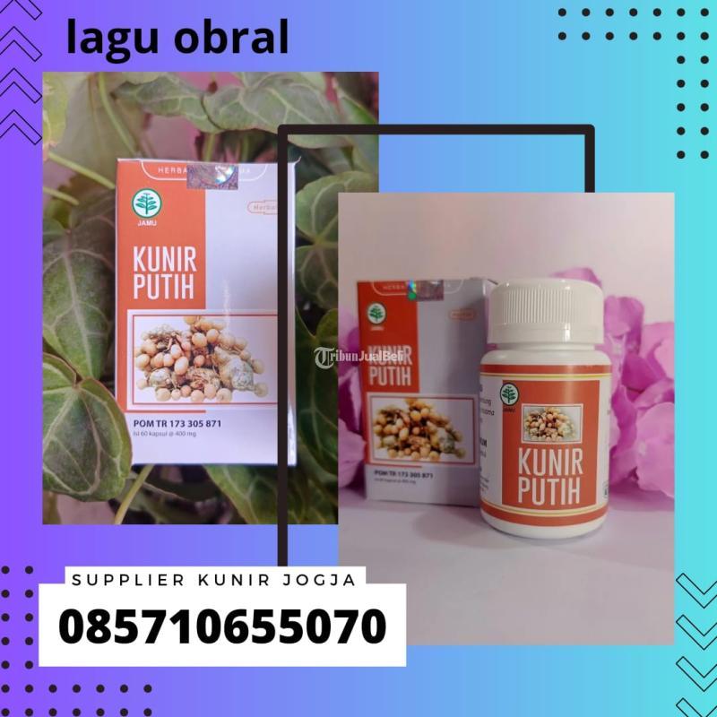 Supplier Kunir Putih Banyak Manfaatnya - Bantul Yogyakarta