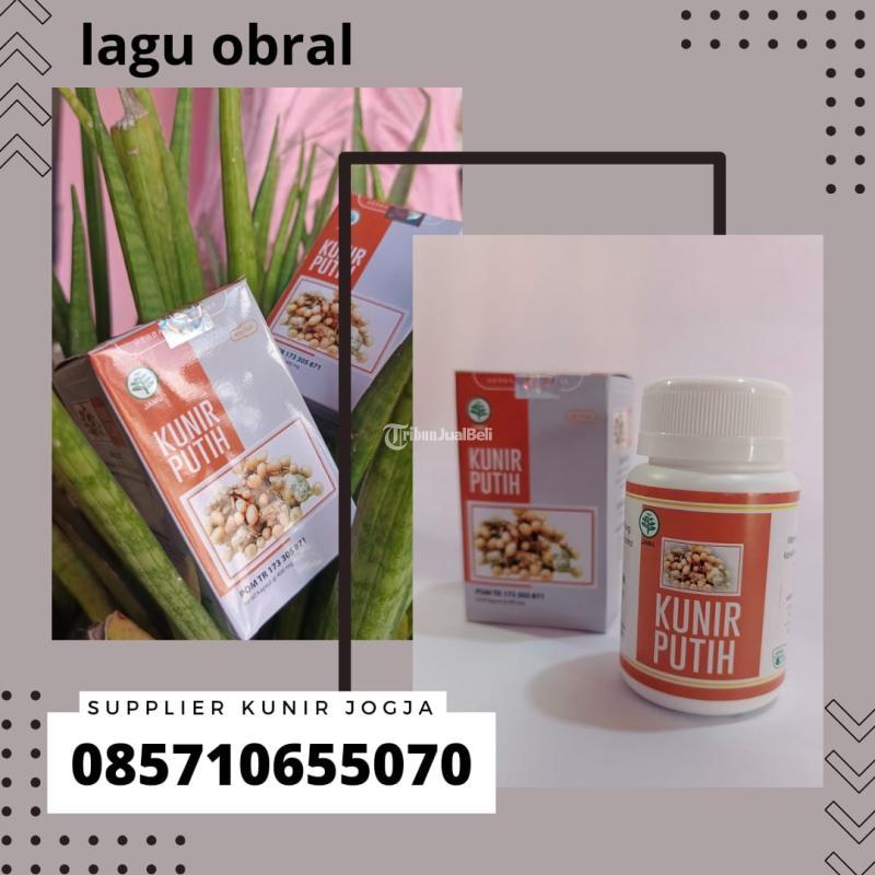 Supplier Kunir Putih Banyak Manfaatnya - Bantul Yogyakarta