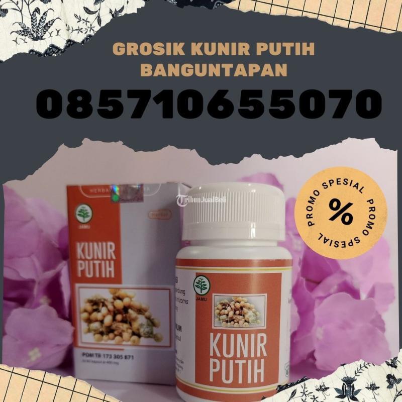 Kunir Putih Harga Murah - Bantul Yogyakarta