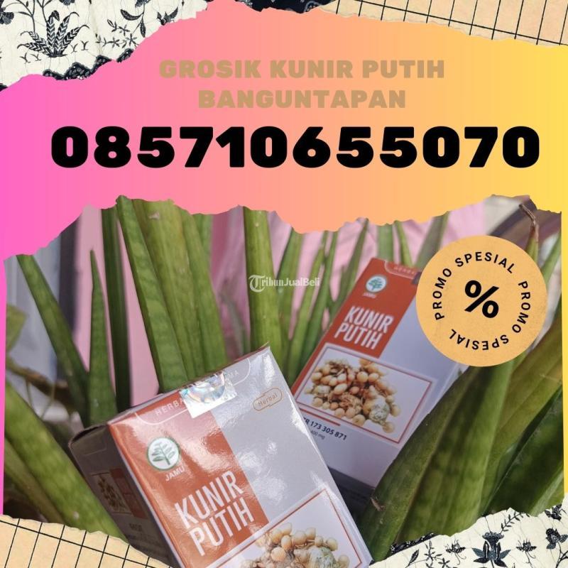 Kunir Putih Harga Murah - Bantul Yogyakarta