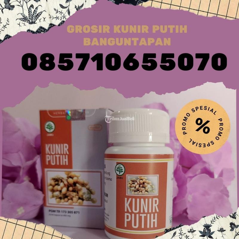 Kunir Putih Harga Murah - Bantul Yogyakarta 