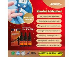 Obat Diabetes British Propolis Ready - Surabaya Jawa Timur