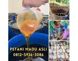 Supplier Madu Asli Terdekat - Tegal Jawa Tengah 