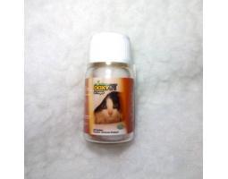 Doxy Cat 10 Kapsul B41 Amigos Petshop - Makassar Sulawesi Selatan