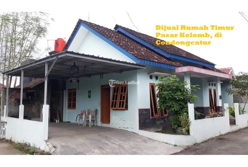 Jual Rumah Baru Luas 157 m2 Timur Pasar Kolomb, di Condongcatur - Sleman Jogja