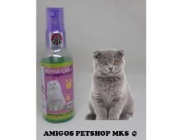 Fungi Cat 60ml Obat Jamur Kucing OB62 - Makassar Sulawesi Selatan