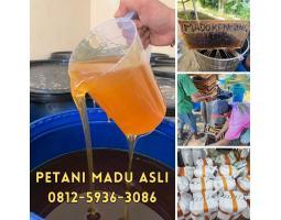  Grosir Madu Asli Terdekat Harga Murah - Makassar Sulawesi Selatan 