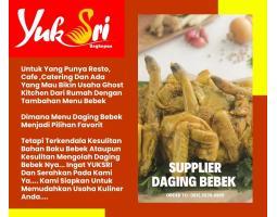 Supplier Daging Bebek Sedia di Gambir - Jakarta Timur