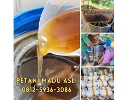 Supplier Madu Asli Terdekat Bisa COD - Madiun Kota Jawa Timur