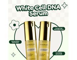 MS Glow White Cell DNA - Surabaya Jawa Timur