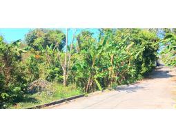 Dijual Tanah 6960 m2 area Benoa jl Taman Giri Asri Kuta Selatan - Badung Bali 