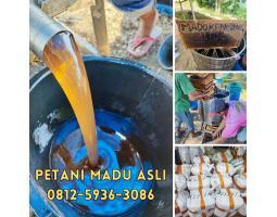 Grosir Madu Asli Terdekat Pembayaran Bisa COD - Banjarbaru Kalimantan Selatan