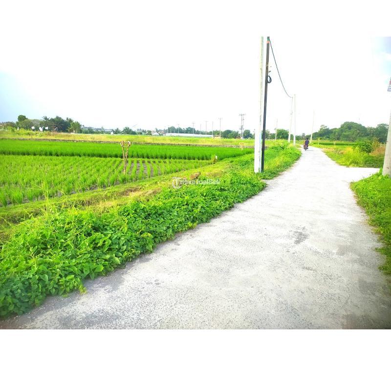 Dijual Tanah 1900 m2 dkt pantai Kedungu Belalang - Tabanan Bali