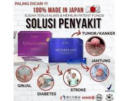 Sop Subarashi dan Utsukushhii Dari Afc Jepang - Bulukumba Sulawesi Selatan 