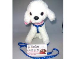 Hernes HRN179 untuk Hewan Peliharaan Ready di Amigos Petsho - Makassar Sulawesi Selatan