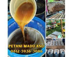 Grosir Madu Harga Terjangkau Asli Petani Bisa COD - Ciamis Jawa Barat