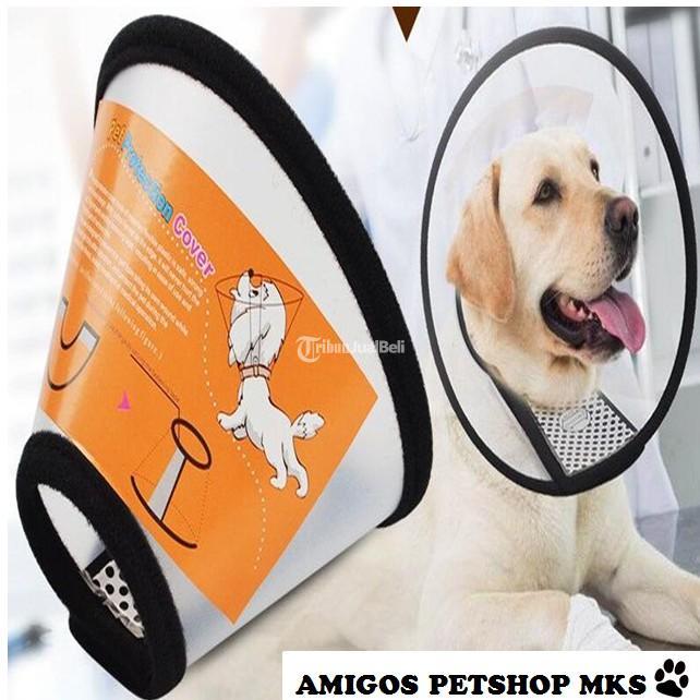 Pet Protection Collar Anti Bite Pet Collar - Makassar Sulawesi Selatan