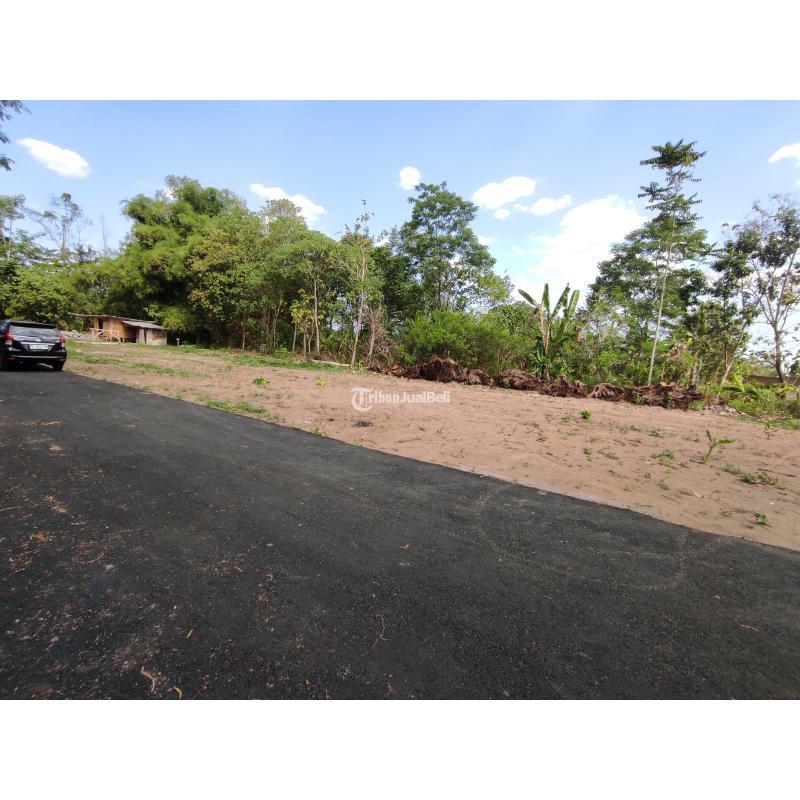 Dijual Promo Kemerdekaan Tanah Murah Luas 123m2 SHM, 3 Menit Dari Stadion Maguwoharjo - Sleman Yogyakarta