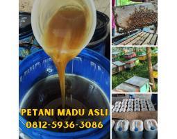 Grosir Madu Terdekat Asli Petani Bisa COD - Padang Sumatera Barat