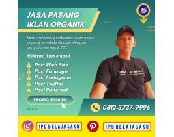 Jasa Pasang Iklan Organik Google Dan Media Sosial - Gianyar Bali 