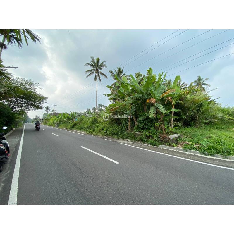 Dijual Tanah Mangku Jalan Aspal Luas 2971m2 SHM Turgo Pakem - Kulon Progo Yogyakarta