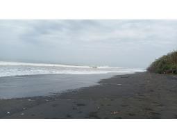 Jual Tanah Luas 1,3 hektare Pinggir Pantai Area Penyaringan  Mendoyo - Jembrana Bali