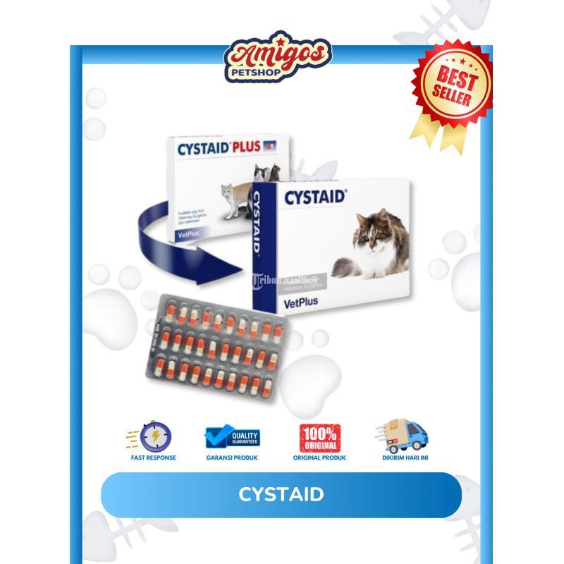 Cystaid Amigos Petshop - Makassar Sulawesi Selatan 