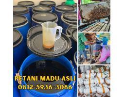 Supplier Madu Asli Terdekat Asli Bisa COD - Mataram NTB