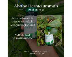 Abaha Derma Obat Jerawat Herbal Murah dan Terbaik Terdaftar BPOM - Bogor Jawa Barat