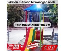 Ahlinya Ayunan dan Perosotan Mainan Anak Tk Outdoor - Jembrana Bali