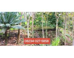 Jual Tanah Luas 5.400 m2 Pinggir Sungai Area Manikyang Selemadeg - Tabanan Bali