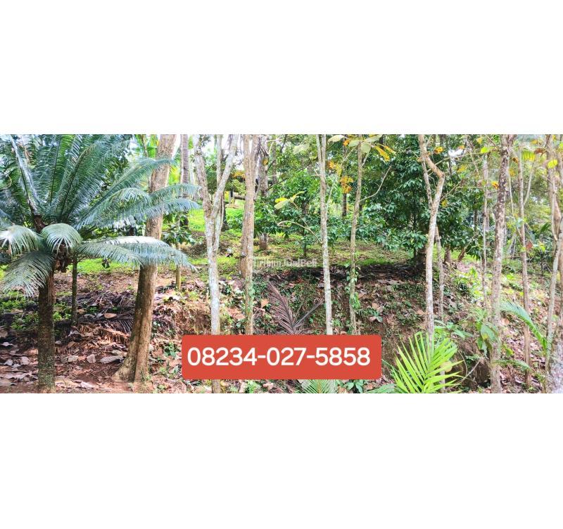 Jual Tanah Luas 5.400 m2 Pinggir Sungai Area Manikyang Selemadeg - Tabanan Bali