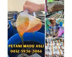 Supplier Madu Asli Terdekat Bisa COD - Singkawang Kalimantan Barat