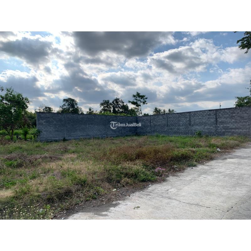 Dijual Tanah Murah Luas 107m2 SHM Di Kalasan - Sleman Yogyakarta