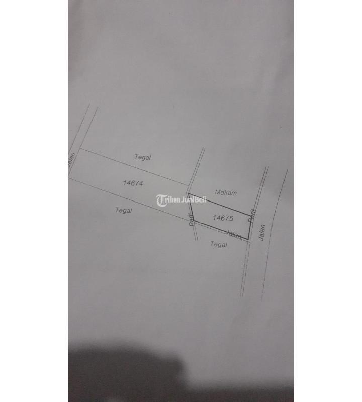 Dijual Tanah Kavling Luas 317m2 SHM Pinggir Jalan Raya Condongcatur - Sleman Yogyakarta