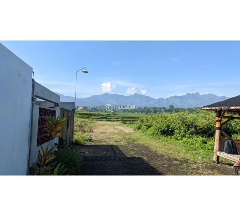 Dijual Tanah Kavling Luas 72m2 SHM Siap Bangun Pacet View Pegunungan - Mojokerto Jawa Timur