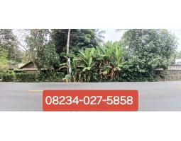 Dijual Tanah 1 Hektar 8 Are Jalan Denpasar Gilimanuk Melaya - Jembrana Bali