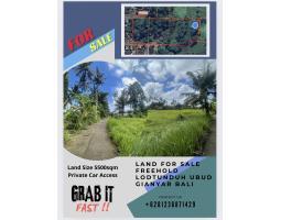 Dijual Tanah 55are SHM Lokasi di Ubud - Gianyar Bali