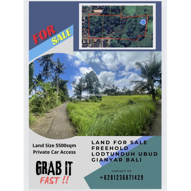 Dijual Tanah 55are SHM Lokasi di Ubud - Gianyar Bali
