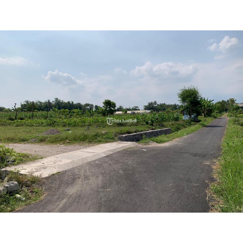 Dijual Tanah Kavling Murah Luas 192m2 SHM Di Barat Jalan Palagan Km 13 - Sleman Yogyakarta