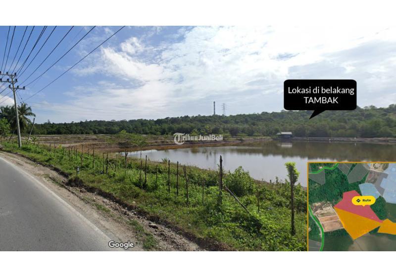 Dijual Tanah LT100000 m2 SHM Lokasi Strategis - Konawe Selatan Sulawesu Tenggara