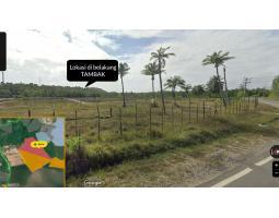 Dijual Tanah Pinggir Laut LT100000 Legalitas SHM - Konawe Selatan Sulawesi Tenggara 
