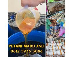 Supplier Madu Asli Terdekat - Banda Aceh