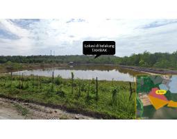 Dijual Tanah Dipinggir Laut Luas 10 Hektar Dekat PLTU Kendari 3 - Konawe Selatan Sulawesi Tenggara