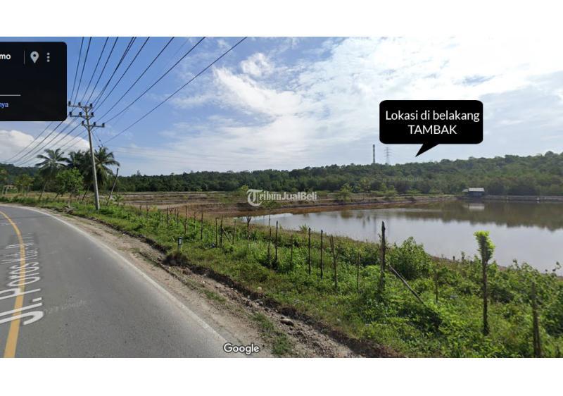Dijual Tanah Pinggir Laut Luas 10 Hektar SHM, Cocok Untuk Galangan Kapal, Pelabuhan Jety Industri Pabrik, Harga per Meter - Konawe Selatan Sulawesi Tenggara